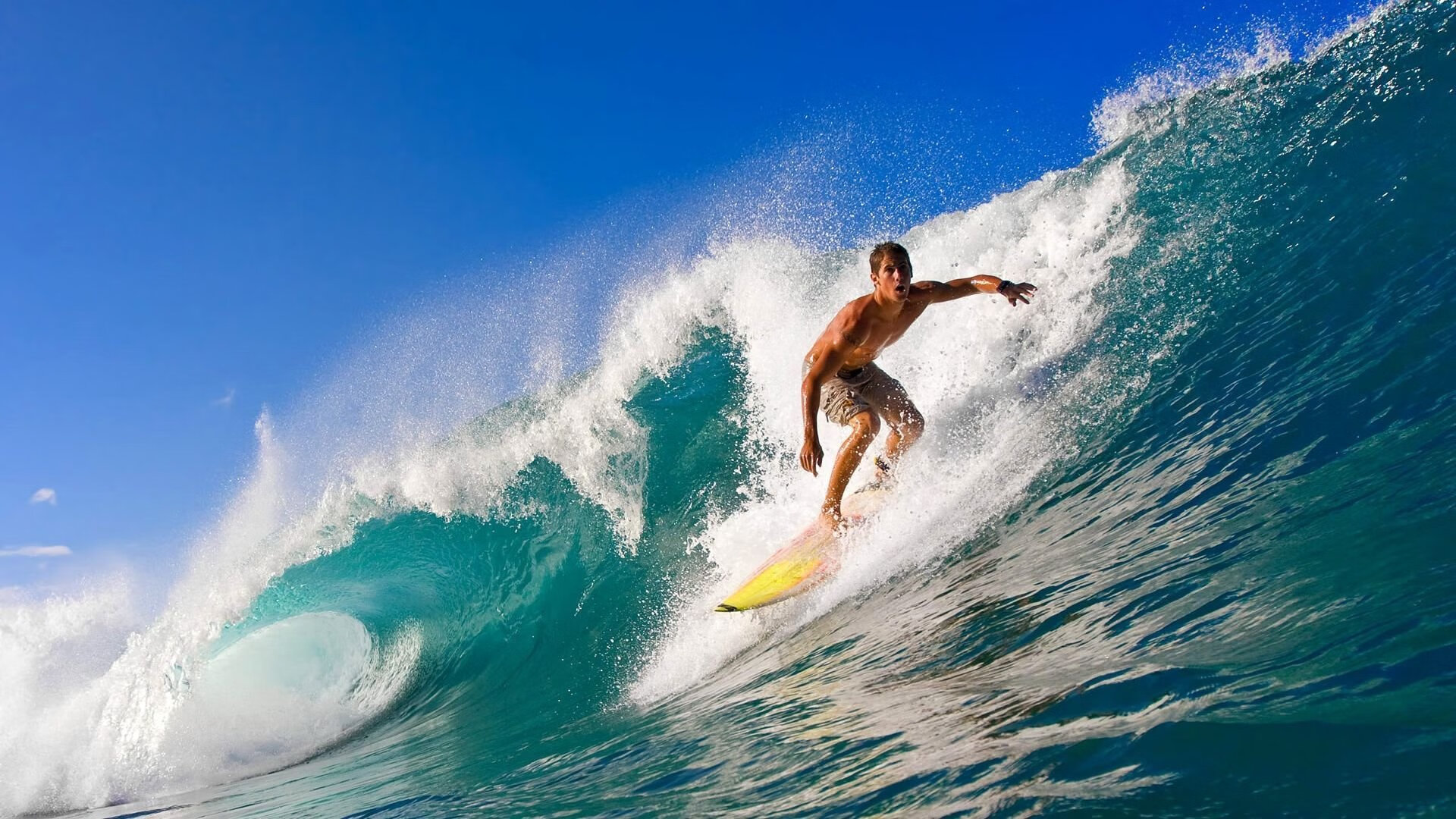 开云体育在线-体育新闻中心开展体育内容创作职业培训项目，体育新闻中心开展体育内容创作职业培训项目有哪些