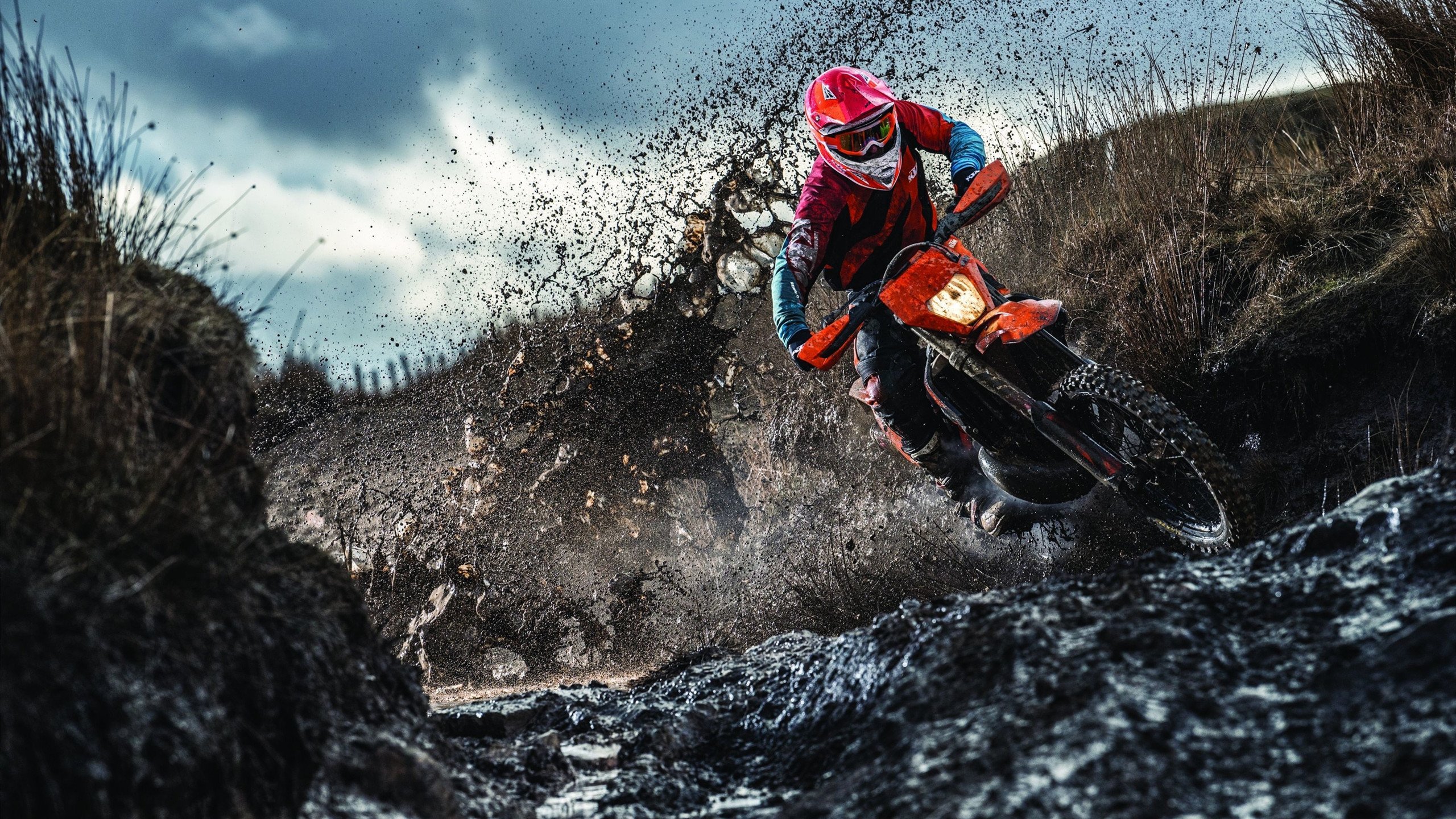 开云体育下载-电子竞技女选手表现亮眼斩获多项冠军，电竞比赛女选手